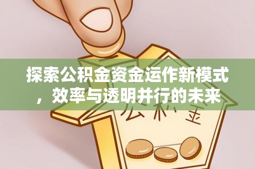 沙河探索公积金资金运作新模式，效率与透明并行的未来