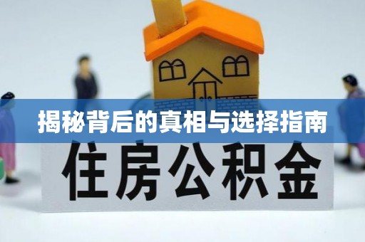 沙河揭秘背后的真相与选择指南