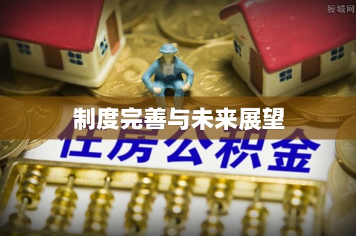 沙河制度完善与未来展望