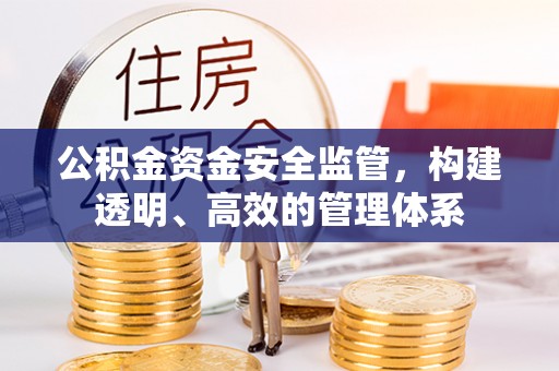 沙河公积金资金安全监管，构建透明、高效的管理体系