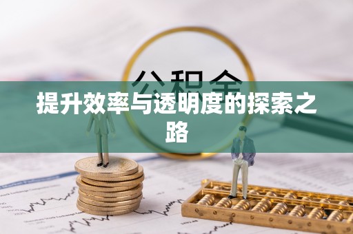 沙河提升效率与透明度的探索之路