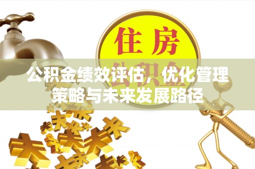沙河公积金绩效评估，优化管理策略与未来发展路径