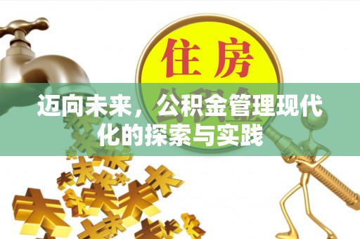 沙河迈向未来，公积金管理现代化的探索与实践