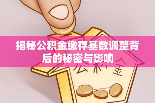 沙河揭秘公积金缴存基数调整背后的秘密与影响