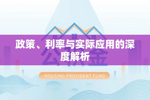沙河政策、利率与实际应用的深度解析