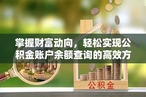 沙河掌握财富动向，轻松实现公积金账户余额查询的高效方式