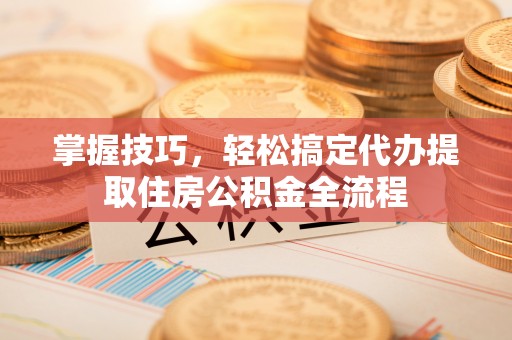 沙河掌握技巧，轻松搞定代办提取住房公积金全流程