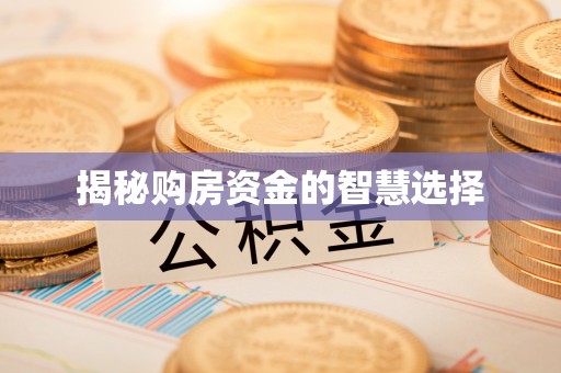 沙河揭秘购房资金的智慧选择