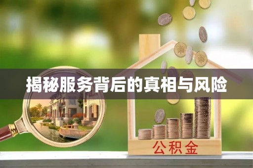 沙河揭秘服务背后的真相与风险