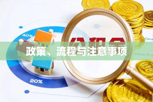 沙河政策、流程与注意事项