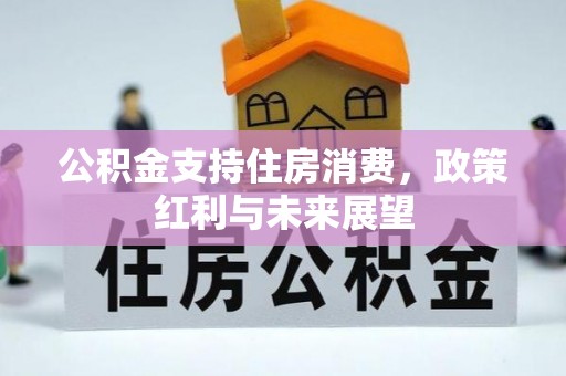 沙河公积金支持住房消费，政策红利与未来展望