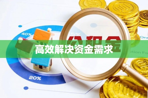 沙河高效解决资金需求