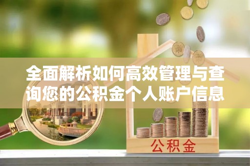 沙河全面解析如何高效管理与查询您的公积金个人账户信息