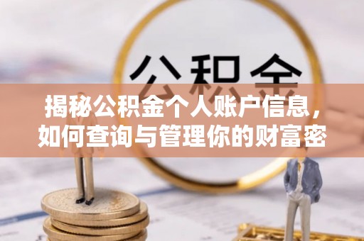 沙河揭秘公积金个人账户信息，如何查询与管理你的财富密码