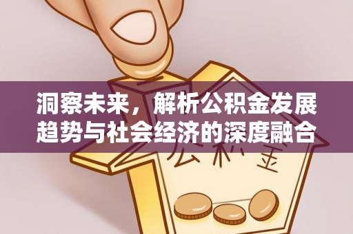 沙河洞察未来，解析公积金发展趋势与社会经济的深度融合