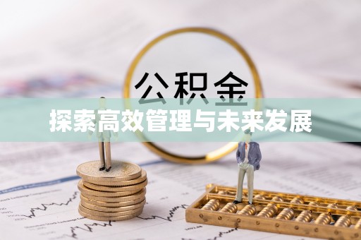 沙河探索高效管理与未来发展