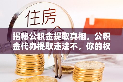 沙河揭秘公积金提取真相，公积金代办提取违法不，你的权益如何保障？