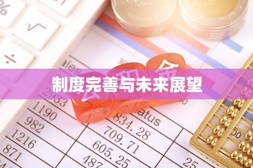 沙河制度完善与未来展望