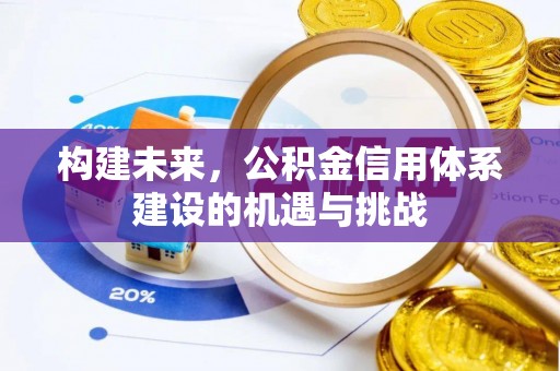沙河构建未来，公积金信用体系建设的机遇与挑战