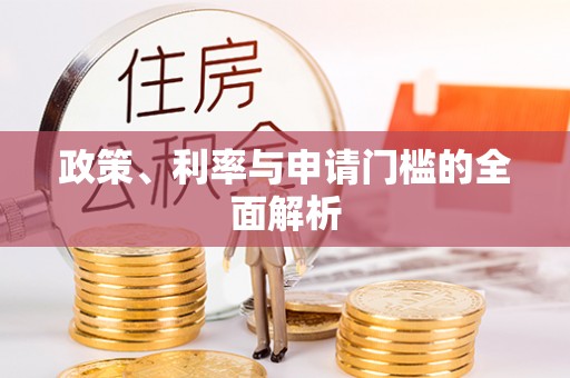 沙河政策、利率与申请门槛的全面解析