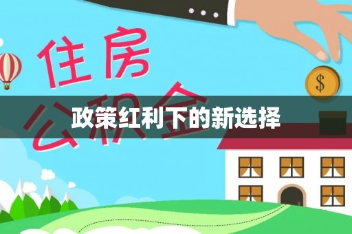 沙河政策红利下的新选择