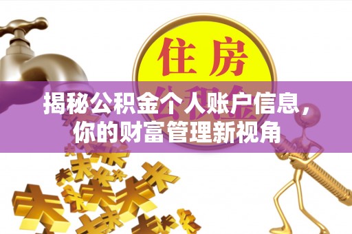 沙河揭秘公积金个人账户信息，你的财富管理新视角