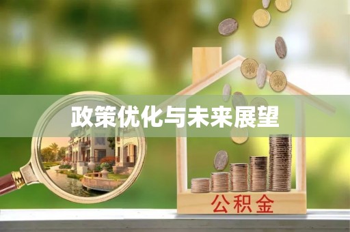 沙河政策优化与未来展望
