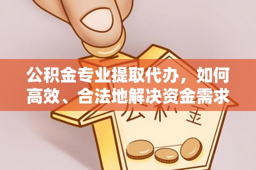 沙河公积金专业提取代办，如何高效、合法地解决资金需求？