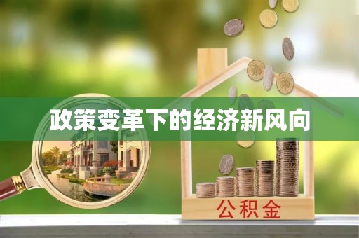 沙河政策变革下的经济新风向
