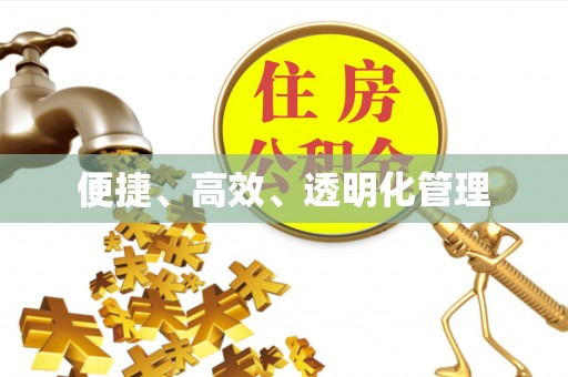 沙河便捷、高效、透明化管理