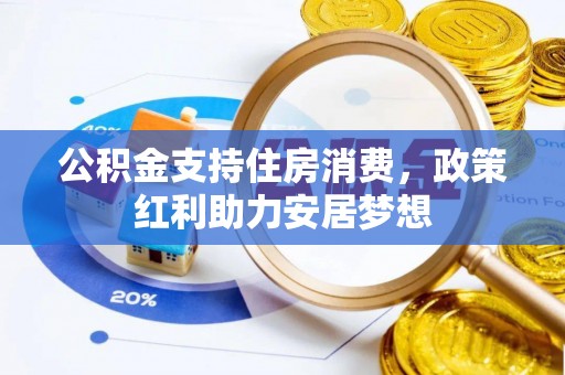 沙河公积金支持住房消费，政策红利助力安居梦想