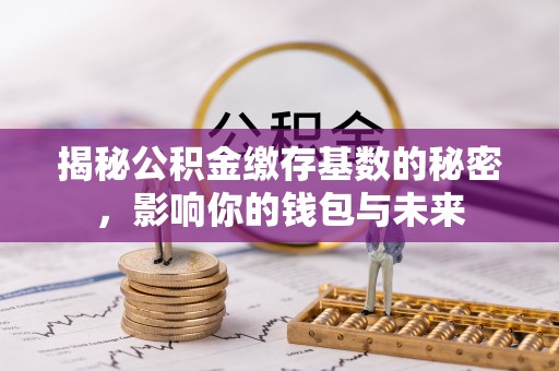 沙河揭秘公积金缴存基数的秘密，影响你的钱包与未来
