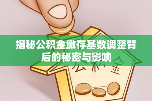 沙河揭秘公积金缴存基数调整背后的秘密与影响