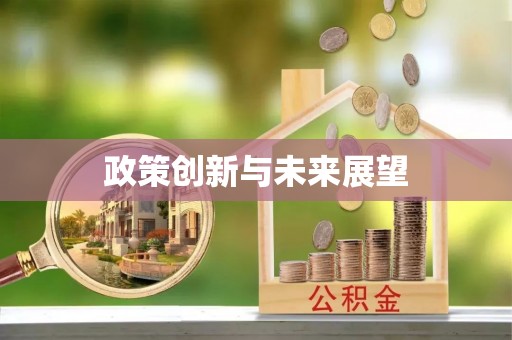 沙河政策创新与未来展望