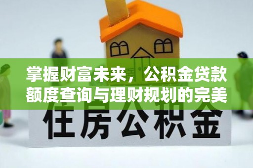 沙河掌握财富未来，公积金贷款额度查询与理财规划的完美结合