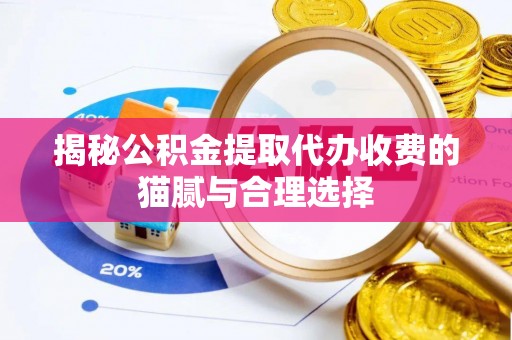 沙河揭秘公积金提取代办收费的猫腻与合理选择